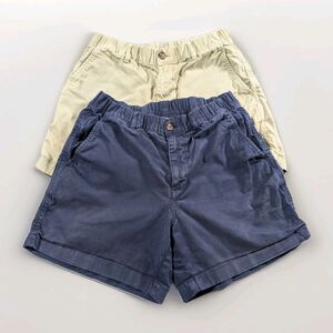 2 Bear Bottom Shorts Mens M Blue Green Stretch Elastic Waist 5.5 Inseam